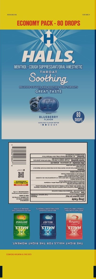 Blueberry Art (Blueberry Art)